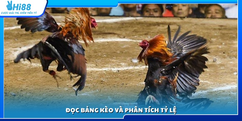Hiểu rõ bảng kèo và đánh giá tỷ lệ cược trước khi đặt